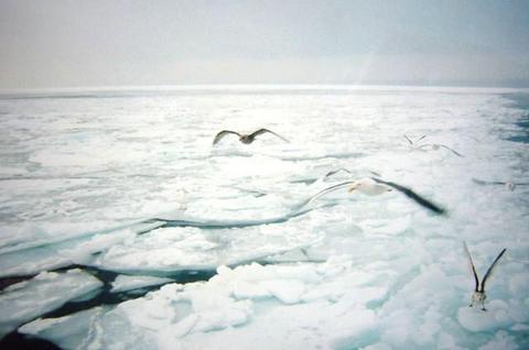 2006流氷2.jpg